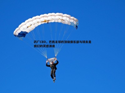 三亿体育官网-药厂CEO，巴西足球的顶级俱乐部与球员是我们的灵感源泉