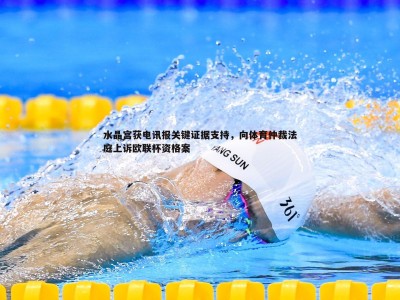 三亿体育官网-水晶宫获电讯报关键证据支持，向体育仲裁法庭上诉欧联杯资格案